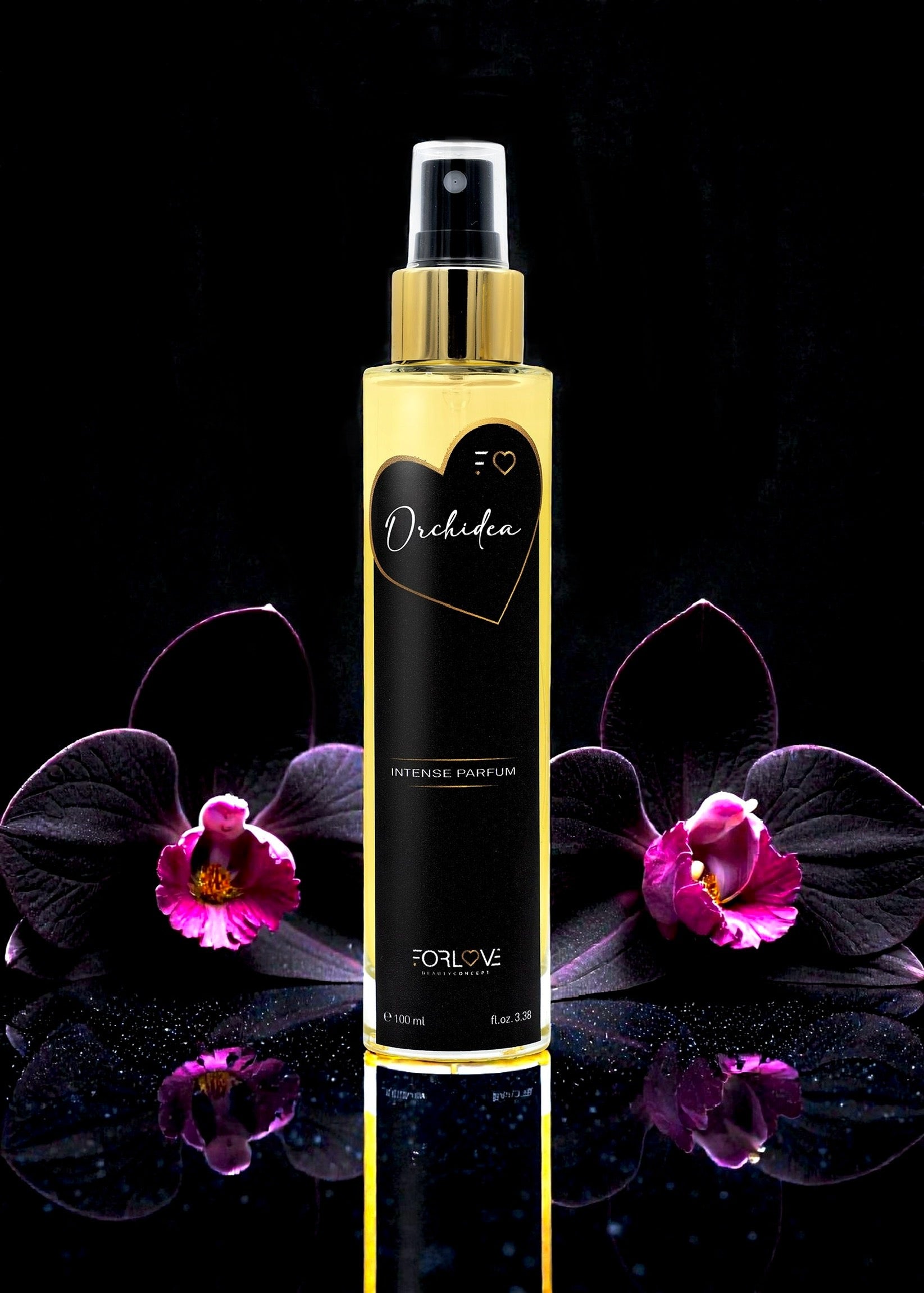 Orchidea